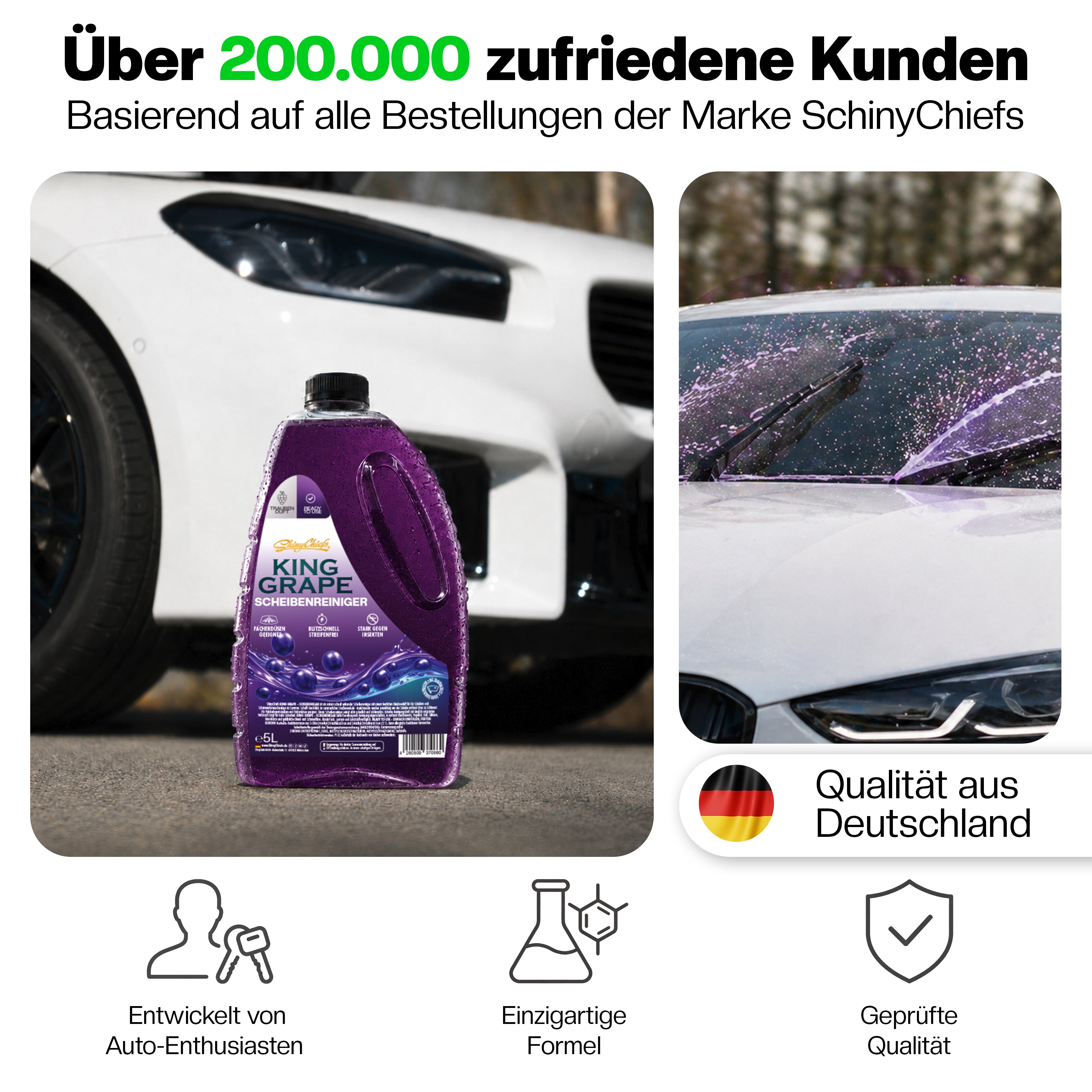 LAUNCH BUNDLE - WATERMELONE WAVE + KING GRAPE - SCHEIBENKLAR (4x5L)