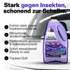 LAUNCH BUNDLE - WATERMELONE WAVE + KING GRAPE - SCHEIBENKLAR (4x5L)